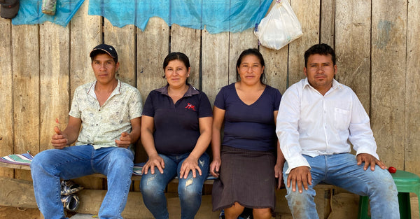 精製由来の甘さとペルーらしい透明度の高さがかけ合わさったコーヒー「エル セドロ」