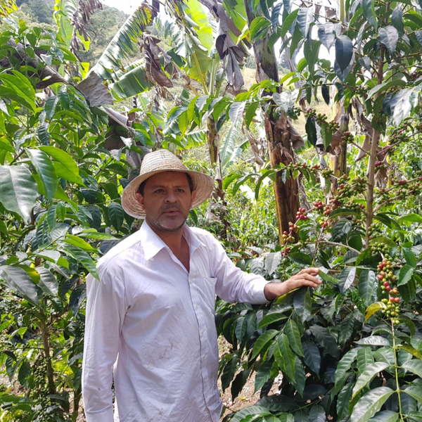 【2024COE #5】LA ELE - COSTA RICA