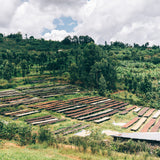 SIMBI - RWANDA