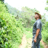 FINCA DON JAIME PACAMARA - EL SALVADOR