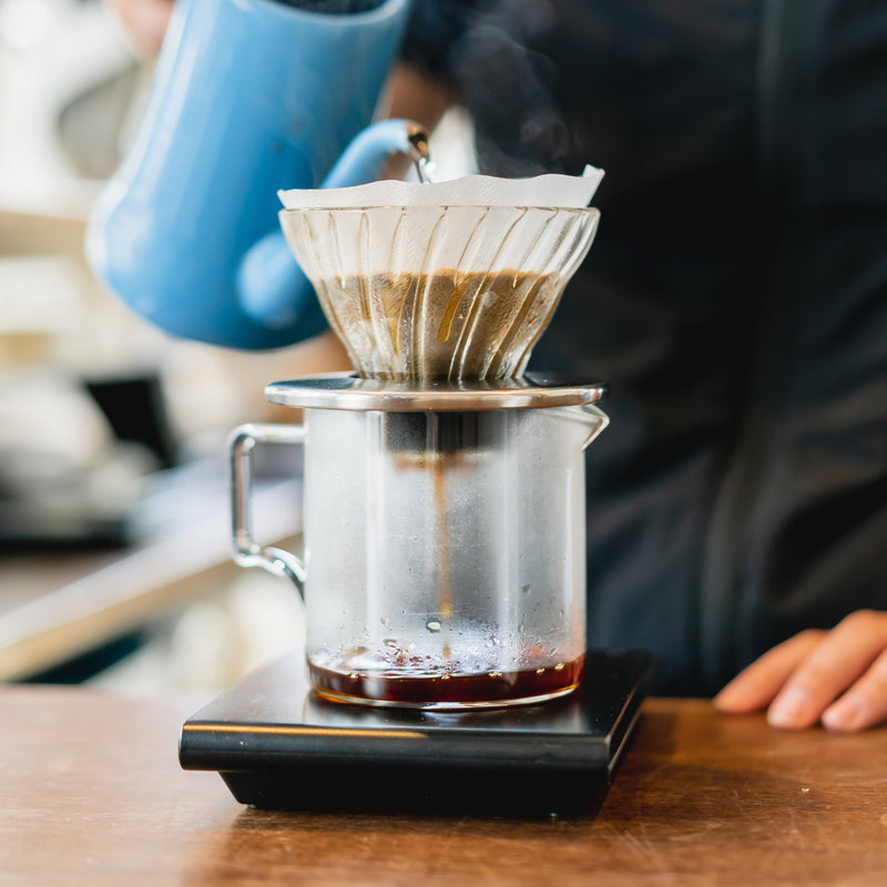 店舗ドリップセミナー (V60編) 器具/豆/雑貨10%OFF特典付き【下北沢店開催】
